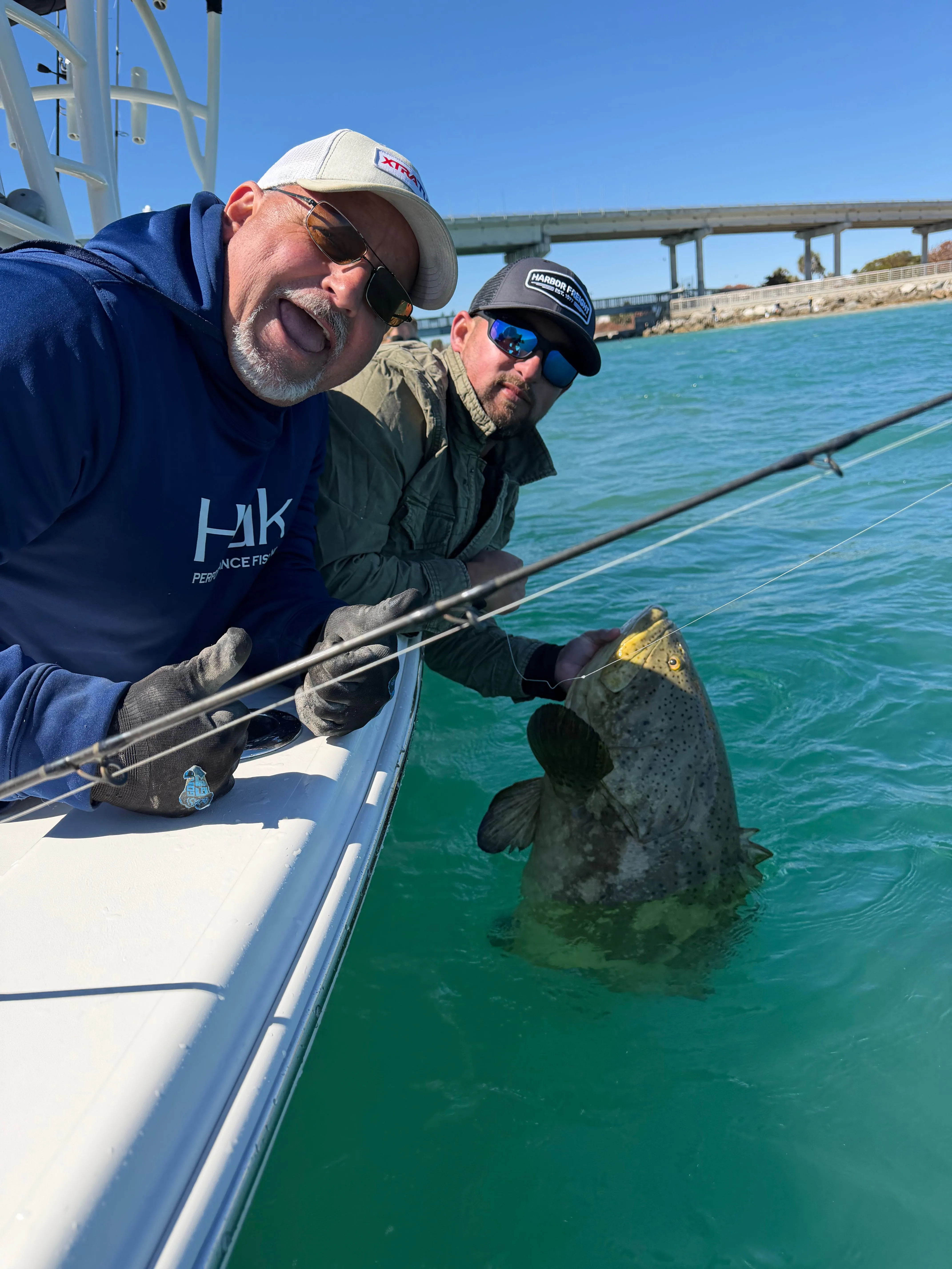 Full Day Inshore / Nearshore